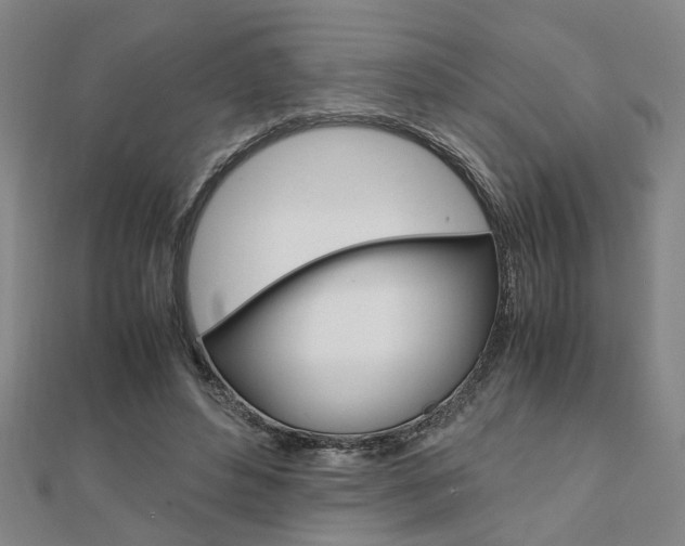 X0000112050496200908040953