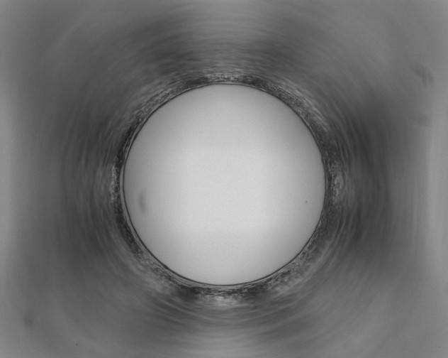 X0000112050498200908040953