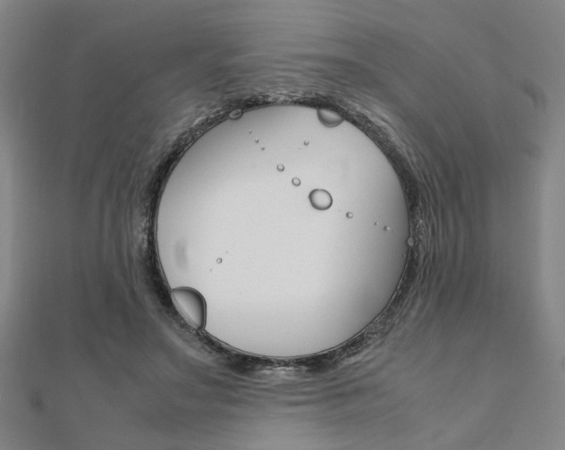 X0000112050499200908040953