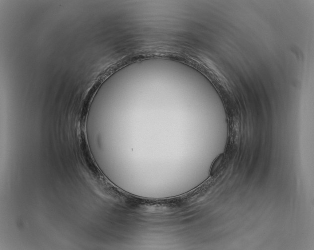X0000112050500200908040953