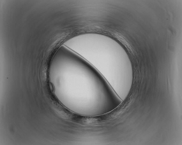 X0000112050501200908040953