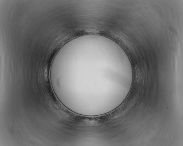 X0000112050502200908040953