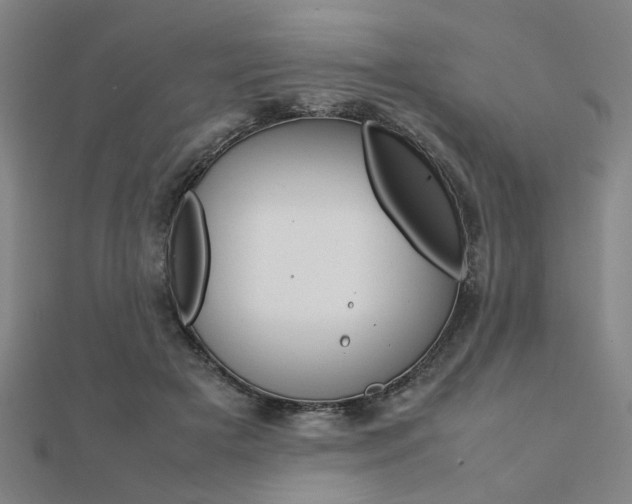 X0000112050505200908040953