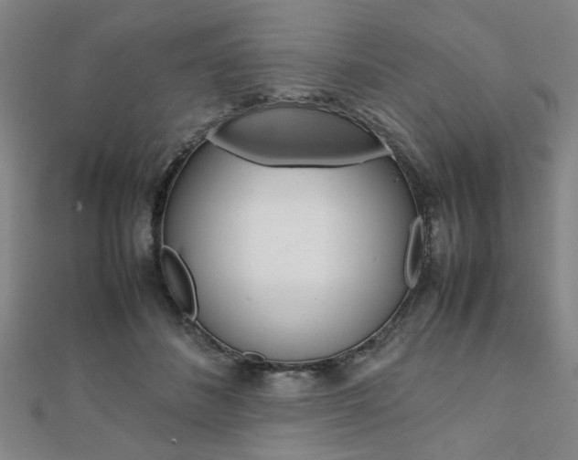 X0000112050508200908040953