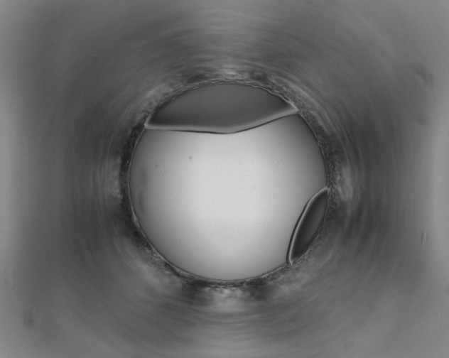X0000112050512200908040953