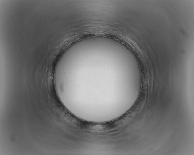 X0000112050513200908040953