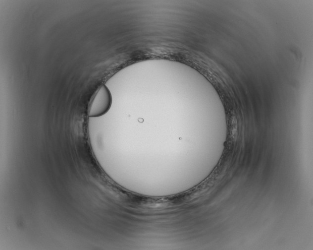 X0000112050514200908040953