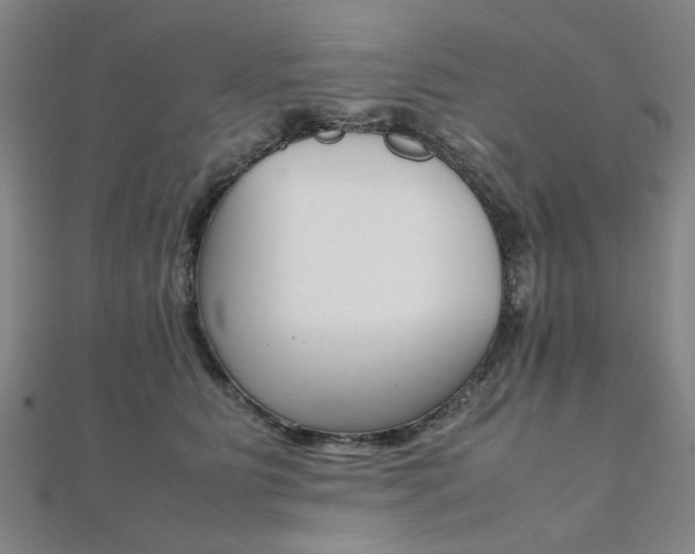 X0000112050515200908040953