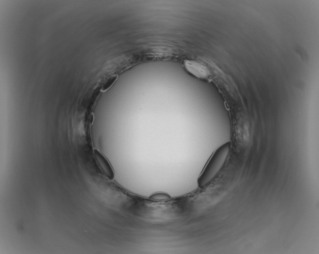 X0000112050516200908040953
