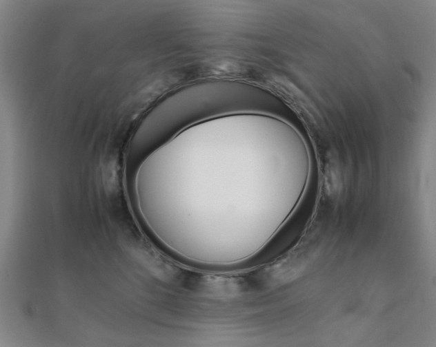 X0000112050520200908040953