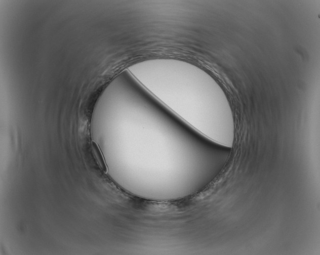 X0000112050521200908040952