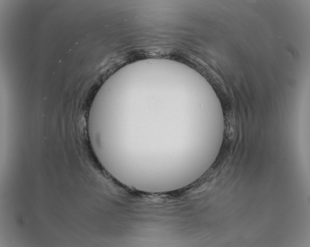 X0000112050523200908040952