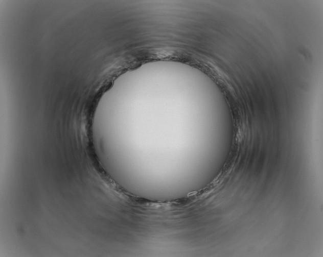 X0000112050524200908040952