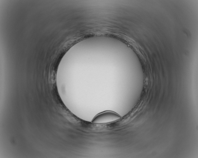 X0000112050525200908040952