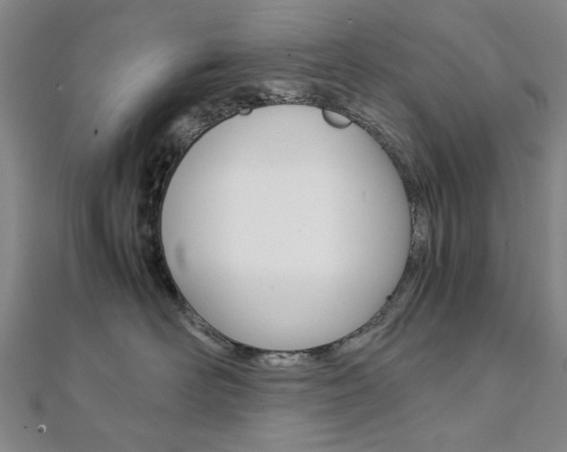 X0000112050526200908040952