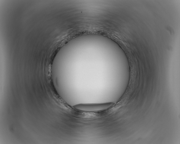 X0000112050528200908040952