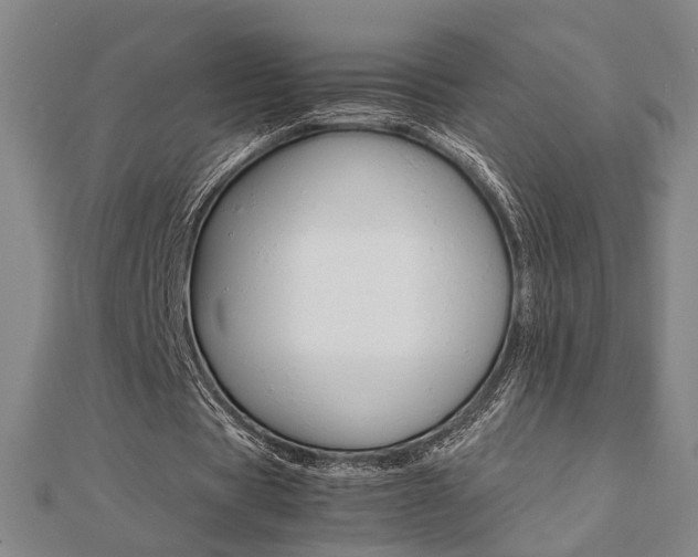 X0000112050529200908040952