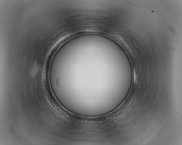 X0000112050531200908040952
