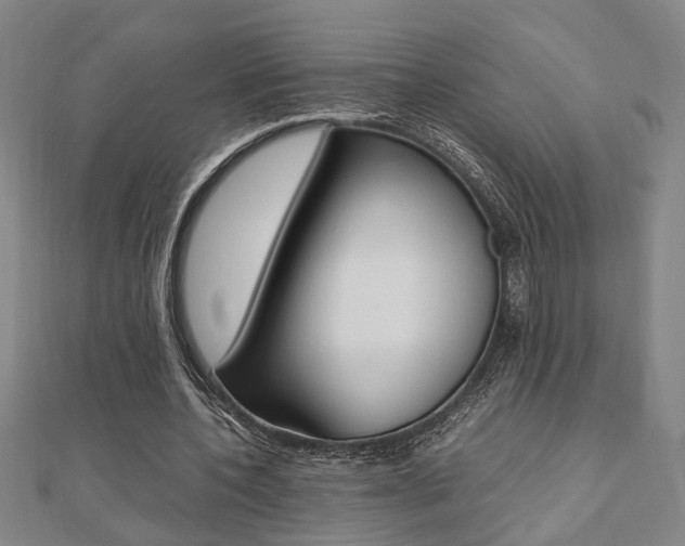 X0000112050532200908040952