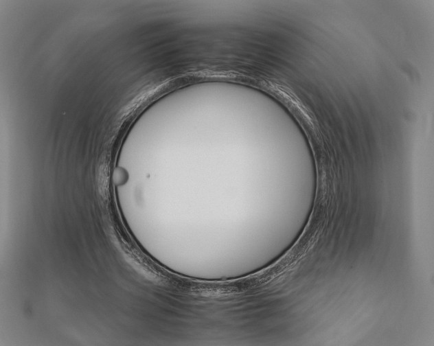 X0000112050533200908040952