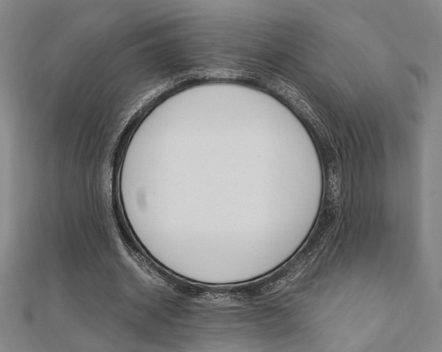 X0000112050534200908040952