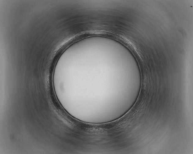 X0000112050535200908040952