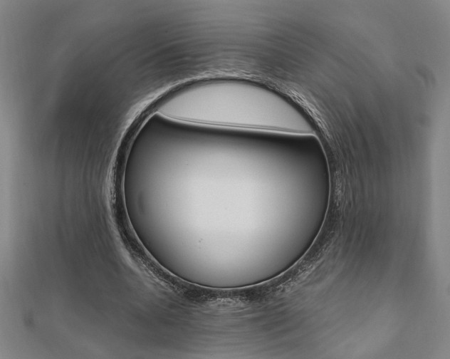 X0000112050536200908040952