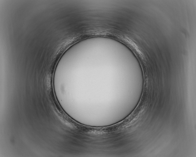 X0000112050537200908040952