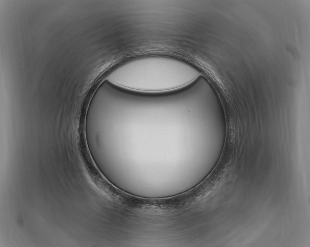 X0000112050538200908040952