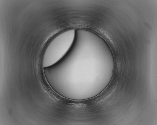 X0000112050539200908040952