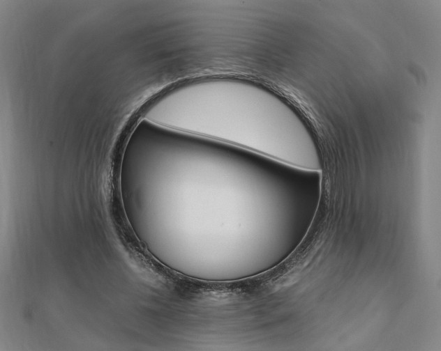 X0000112050540200908040952