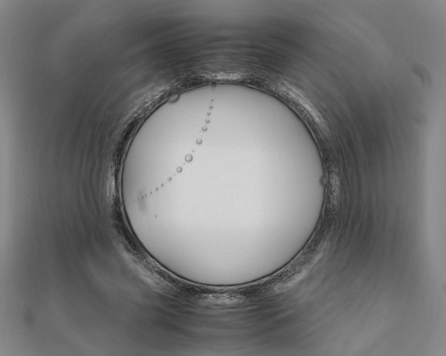 X0000112050541200908040952