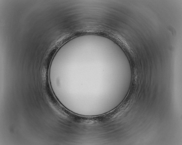X0000112050542200908040952
