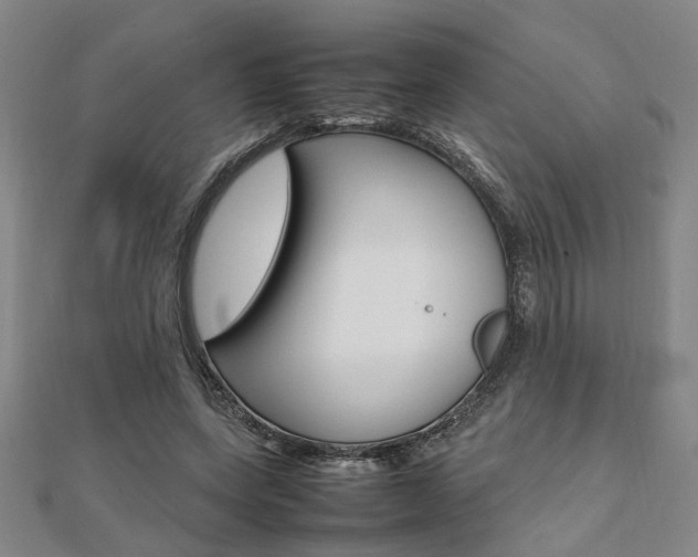 X0000112050543200908040952