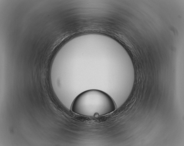 X0000112050544200908040952