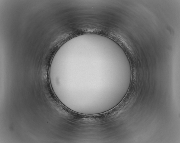 X0000112050545200908040952