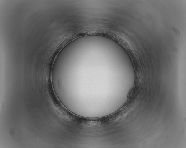X0000112050546200908040952