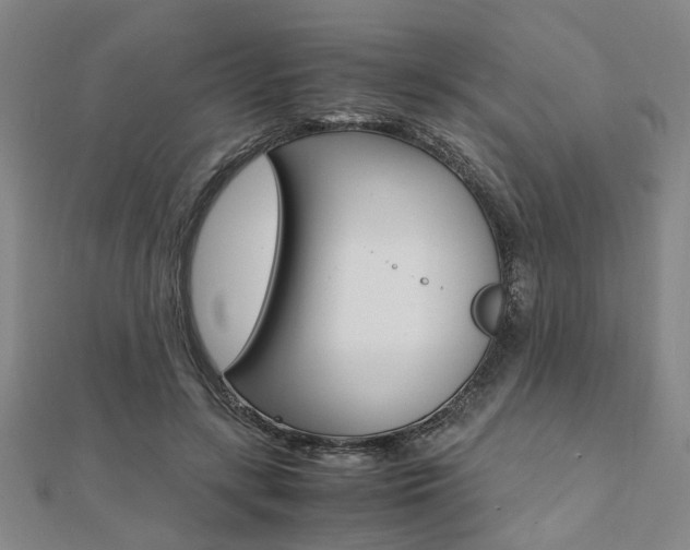 X0000112050547200908040952