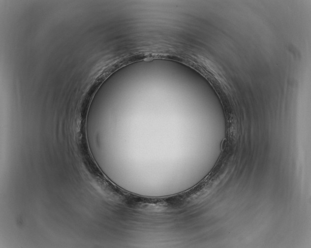 X0000112050548200908040952