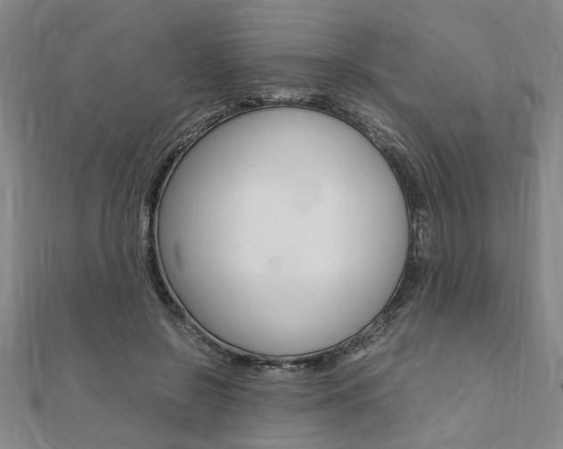 X0000112050550200908040952