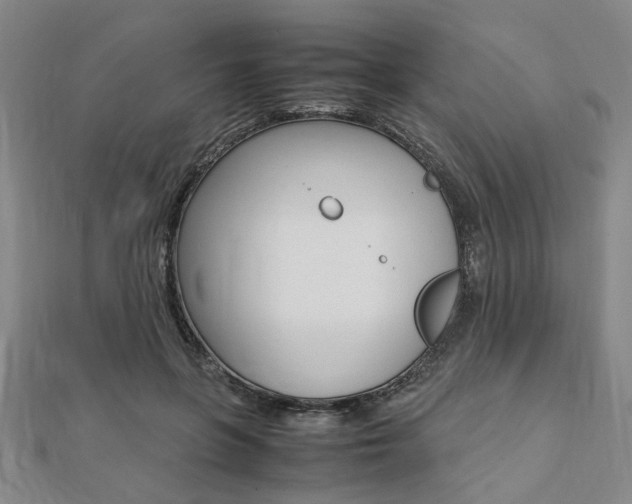 X0000112050551200908040952