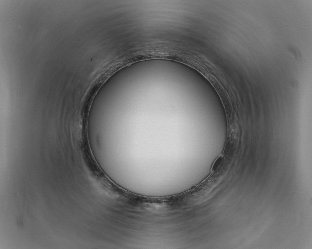 X0000112050552200908040952