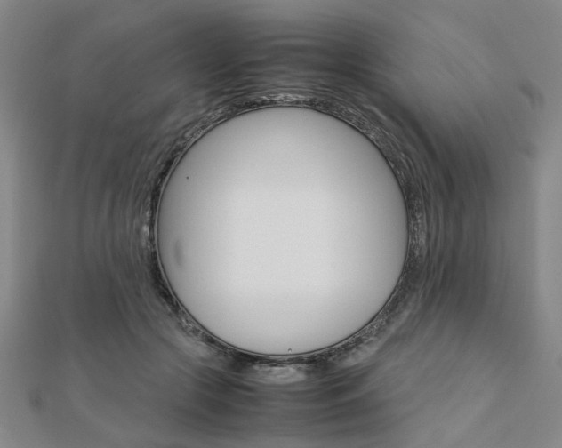 X0000112050553200908040952