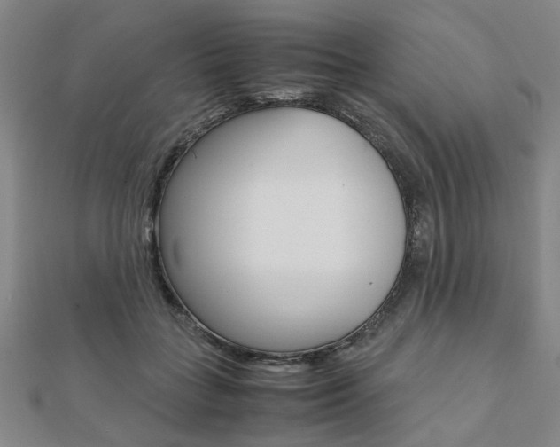 X0000112050555200908040952