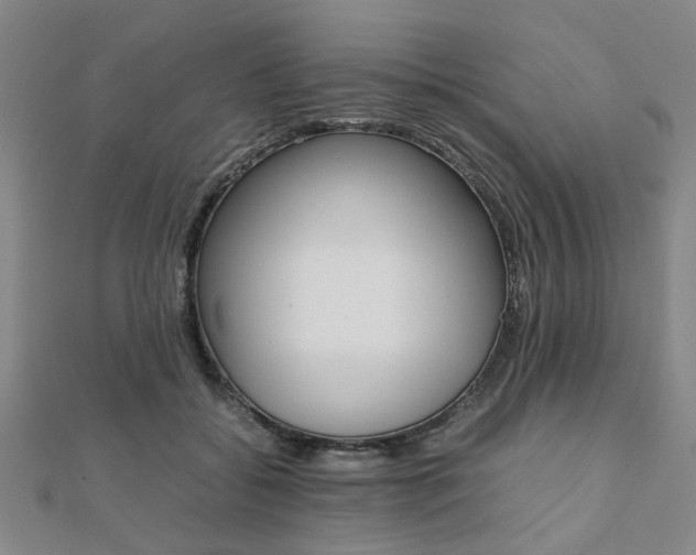 X0000112050556200908040952