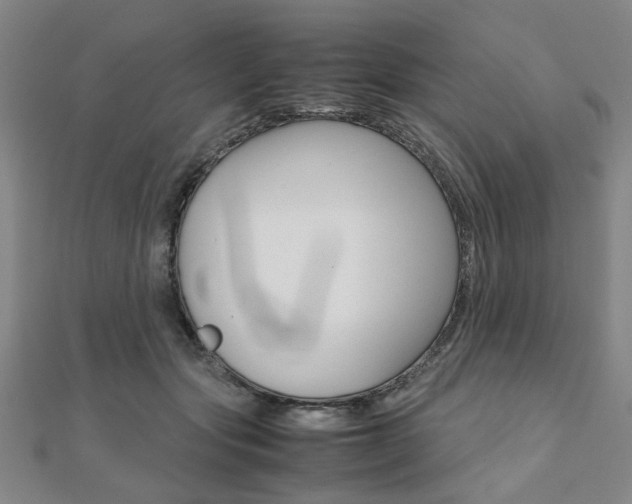 X0000112050557200908040952