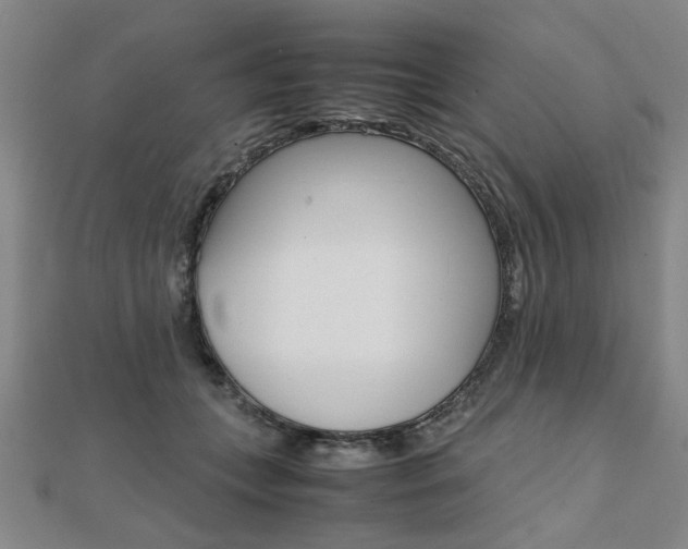 X0000112050559200908040952