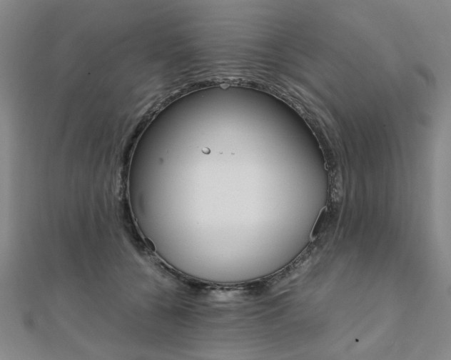 X0000112050560200908040952