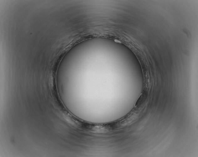 X0000112050562200908040952