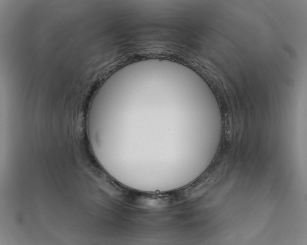 X0000112050563200908040952
